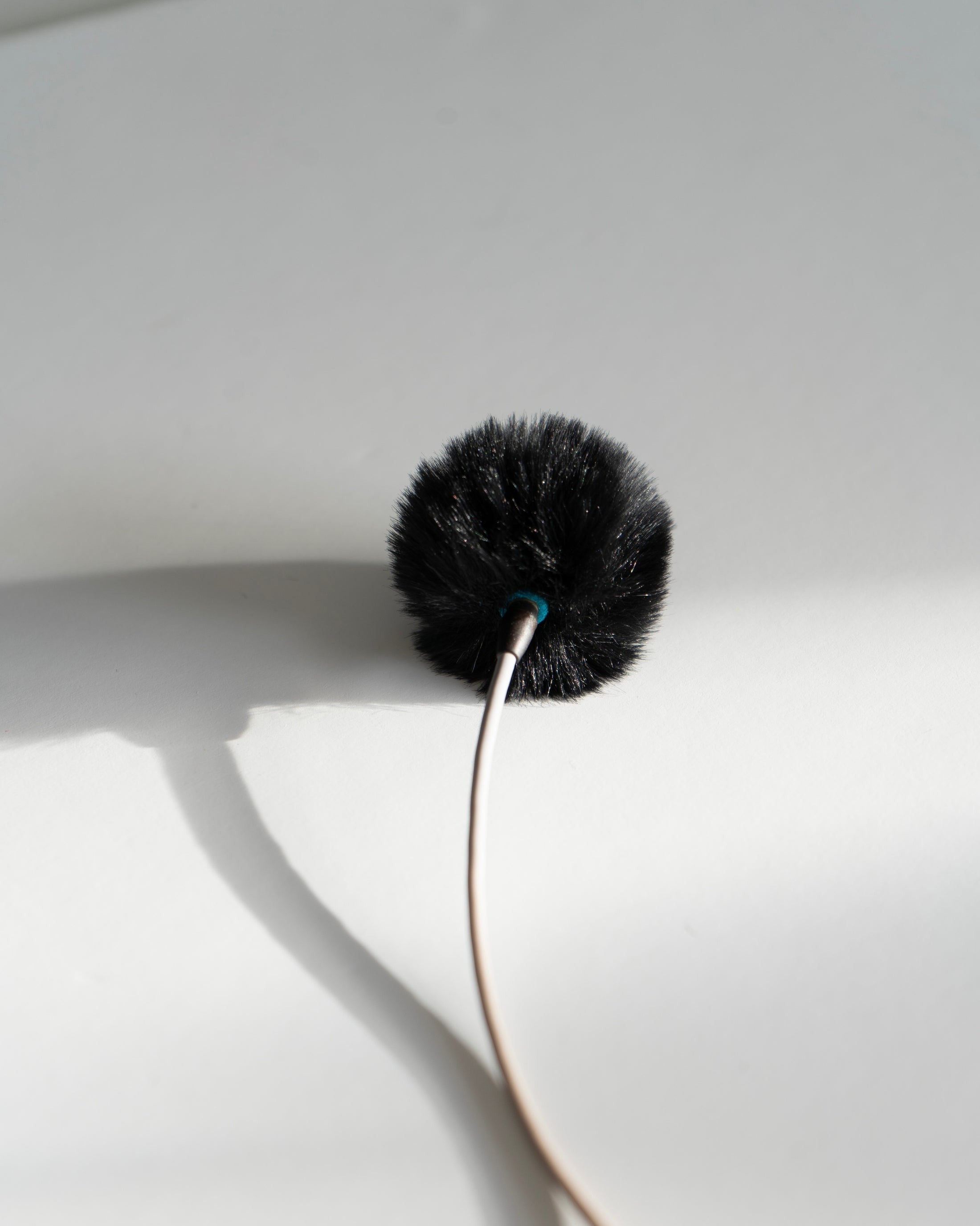Hi Wind Urchin Lav windshield, Black (Single)